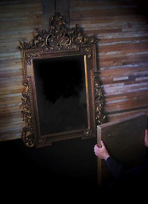 Mirror-Mirror-Evolve